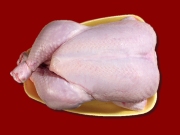 Chicken &nbsp;grade A&nbsp;
