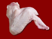 Wings (3 joints)