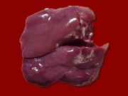 Liver