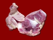 Gizzards